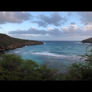 Meet your Posher, Alexia